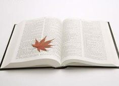 利物浦英超夺冠，克洛普梦想成真：一个时代的辉煌与传奇