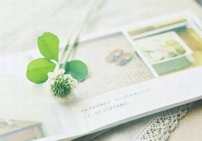 鹈鹕主场奏凯歌，连胜号角已吹响！